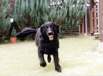 05ProCameraHirai_san