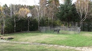 �m�[�X�|�C���g����