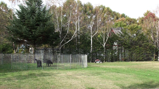 �m�[�X�|�C���g�^����